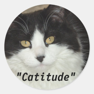 Catitude Cat with an Attitude Classic Round Sticker