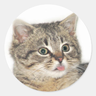 Catitude Classic Round Sticker