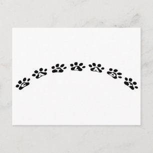 Catlady Postcard