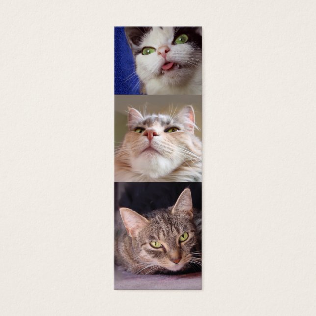Catlovers' Bookmark (Front)