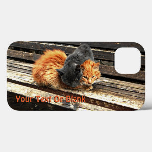Catnap Cuties Case-Mate iPhone Case
