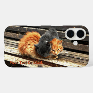 Catnap Cuties iPhone 16 Case