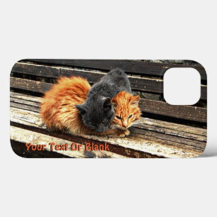 Catnap Cuties iPhone 13 Case