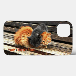 Catnap Cuties iPhone 13 Case
