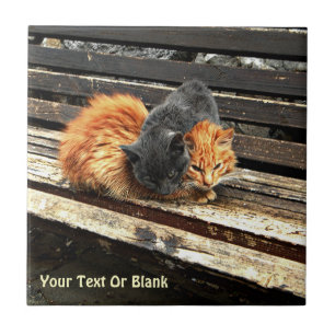 Catnap Cuties Ceramic Tile