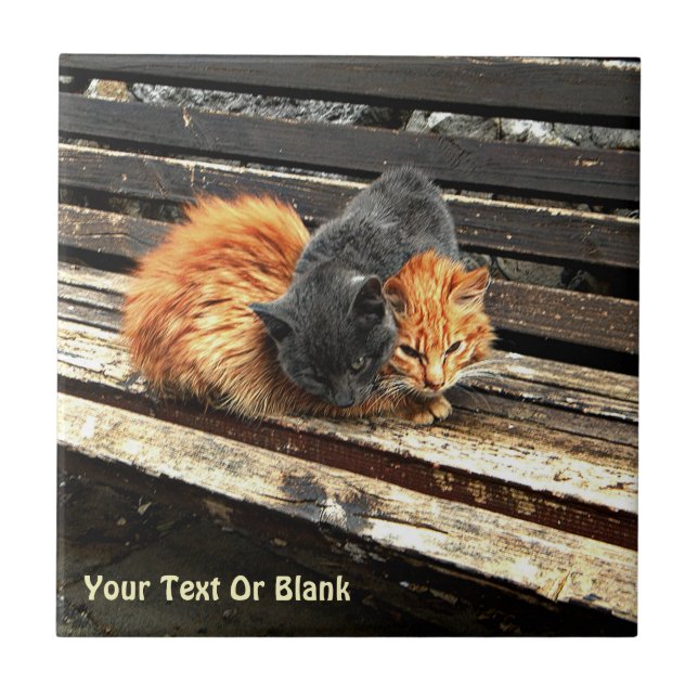 Catnap Cuties Ceramic Tile (Front)