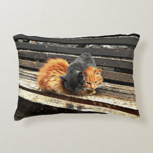 Catnap Cuties Decorative Cushion