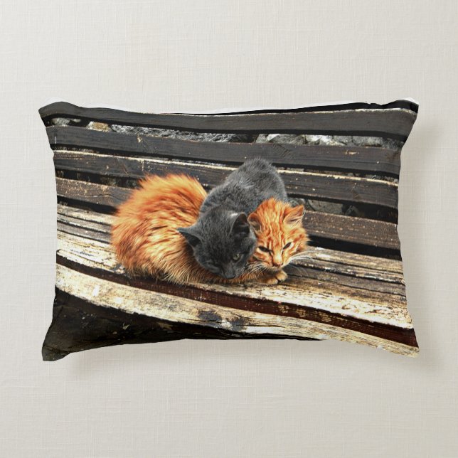 Catnap Cuties Decorative Cushion (Front)