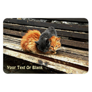 Catnap Cuties Magnet