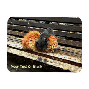Catnap Cuties Magnet