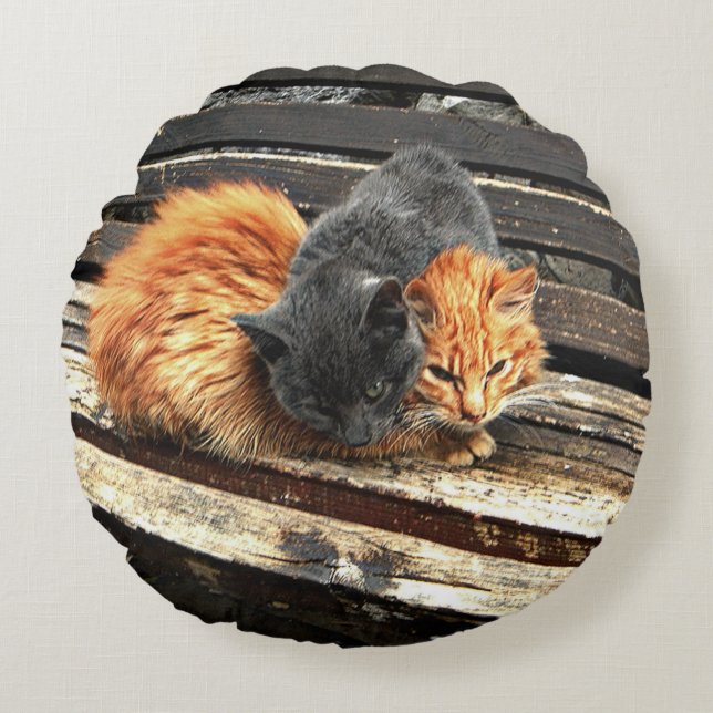 Catnap Cuties Round Cushion (Front)