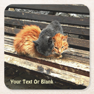 Catnap Cuties Square Paper Coaster