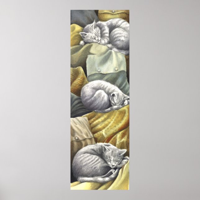 catnap poster (Front)