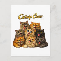 Catnip Crew Cute Silly Goofy Cat Faces Humour