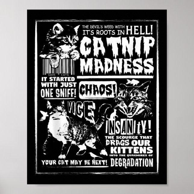 Catnip Madness Cute Kitten Cat Lover Gift For Cat  Poster (Front)