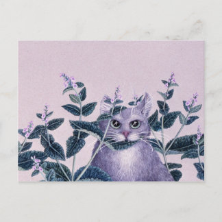 Catnip Postcard