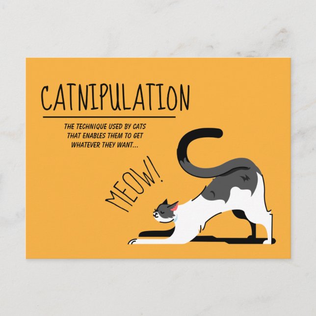 Catnipulation Cat Lovers Meow Design Postcard (Front)