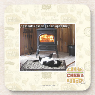 Catnuts roasting coaster
