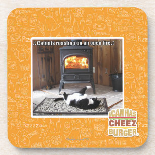 Catnuts roasting coaster