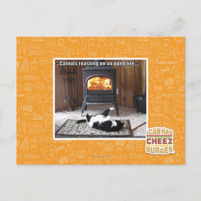 Catnuts roasting postcard (Front)