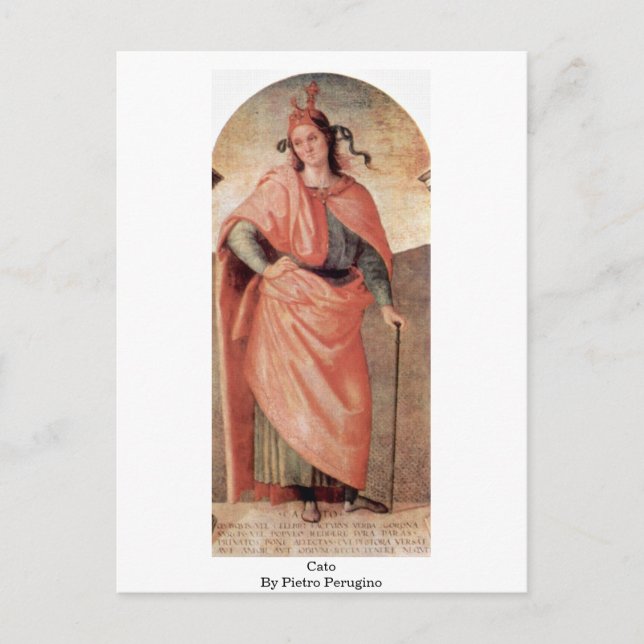 Cato By Pietro Perugino Postcard (Front)