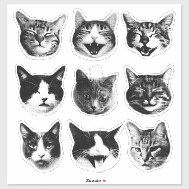 Cats (Sheet)