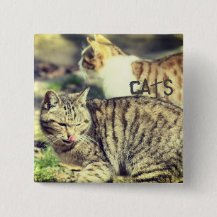 Cats 15 Cm Square Badge
