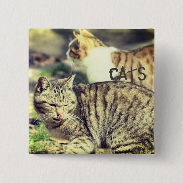 Cats 15 Cm Square Badge (Front)
