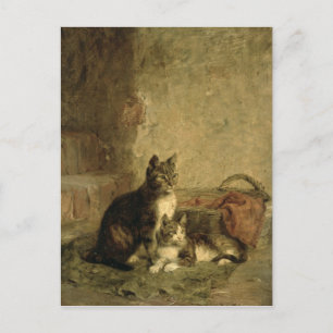 Cats, 1883 postcard