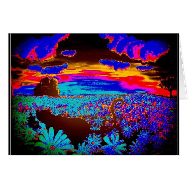 Cats 2 (Front Horizontal)