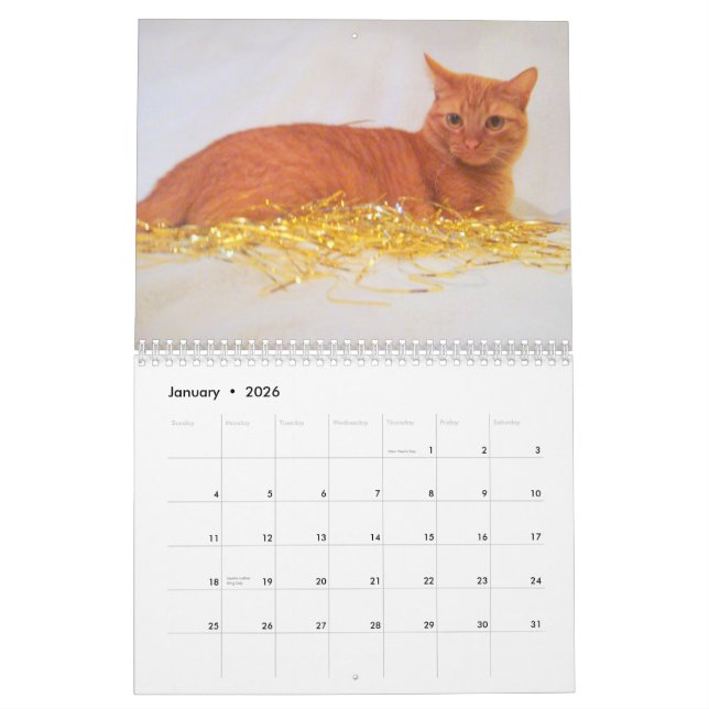 Cats 2011 Calendar (Jan 2026)