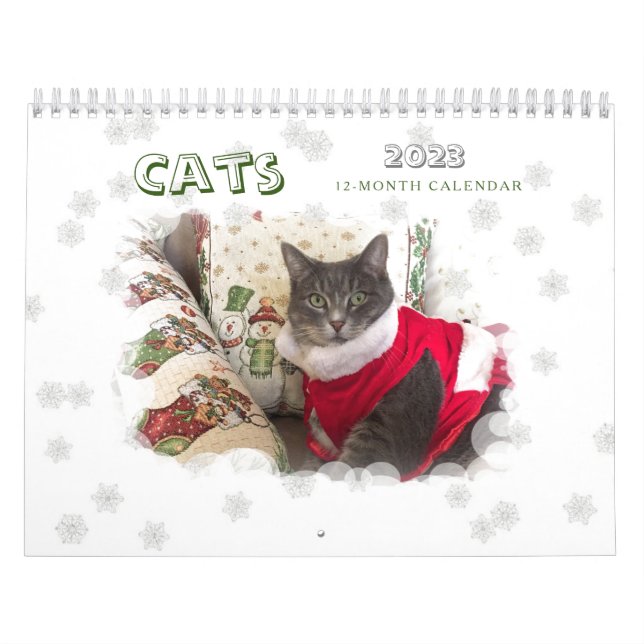 Cats 2023 Calendar (Cover)