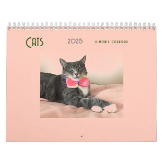 Cats 2025 Calendar