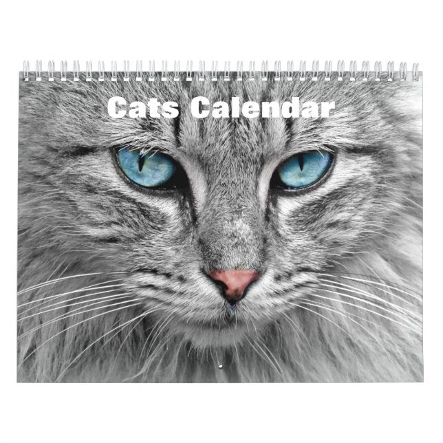 Cats 2025 calendar (Cover)