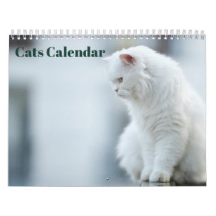 Cats 2027 calendar