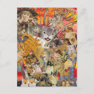 Cats a Plenty postcards