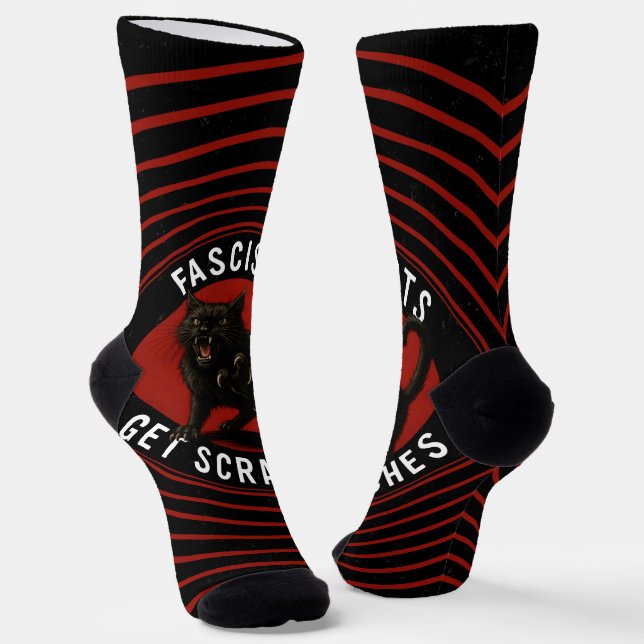 Cats Against Fascists Socks (Angled)