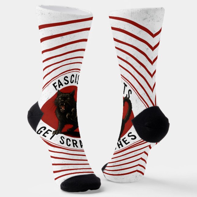 Cats Against Fascists Socks (Angled)