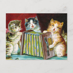 "Cats and a Squeezebox" Postcard