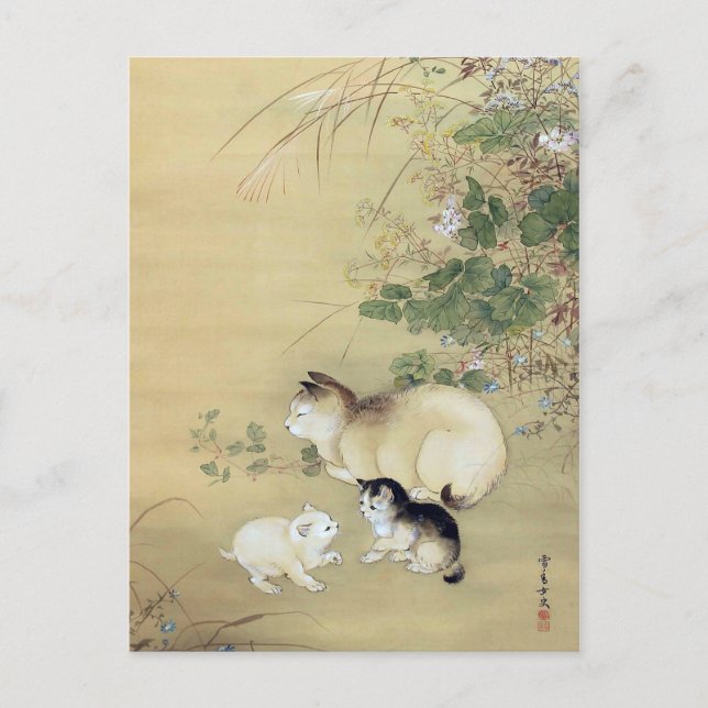 Cats and Autumn Plants, Unknown artist Postcard (Front)