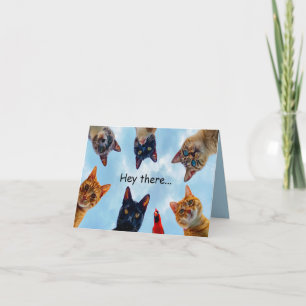 Cats and Cardinal Birthday Card