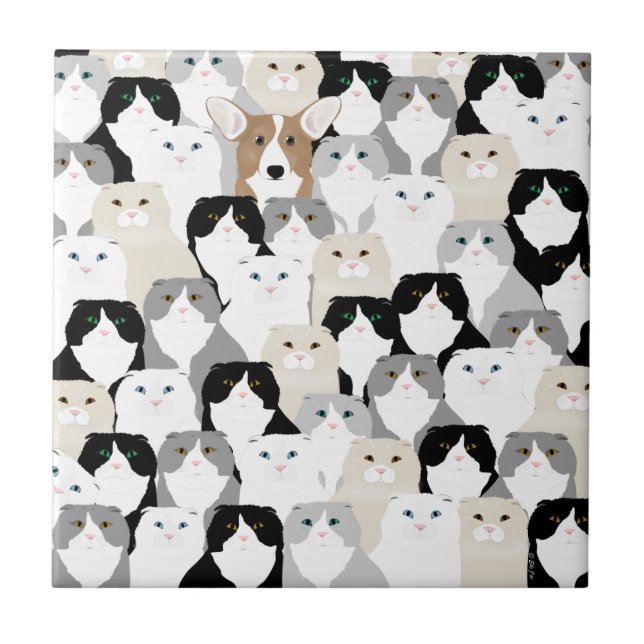 Cats and Dog Ceramic Tile (Front)