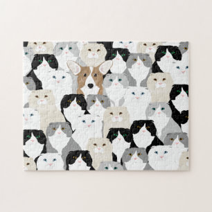 Cats and Dog Puzzle
