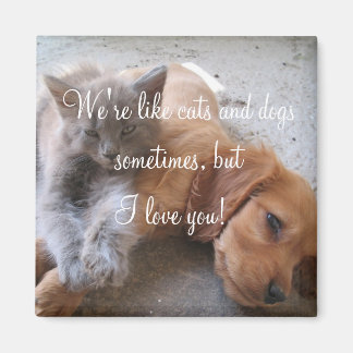 Cats and dogs love Magnet