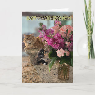 Cats and Flowers for Mother's Day Card