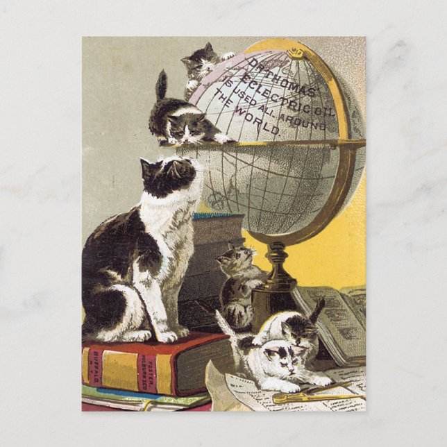 Cats and  Globe Postcard (Front)