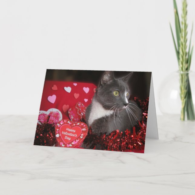 "Cats and Kisses" Card (Front)