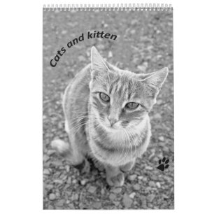 Cats and kitten - black and white  calendar