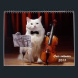 Cats and kitten calendar 2019<br><div class="desc">Cats and kitten calendar 2019,  cats with jobs and hobbies, </div>