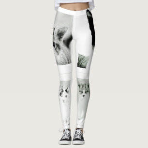 Cats and Kittens Collage Funky Leggings